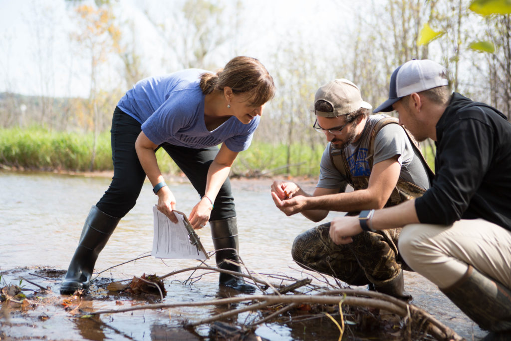 Judy Budd Professor, Biology helps students indentify organisms they found at Coles Creek.